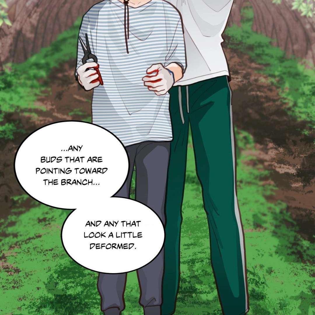 When Pear Blossoms Bloom Chapter 16 page 51 - 