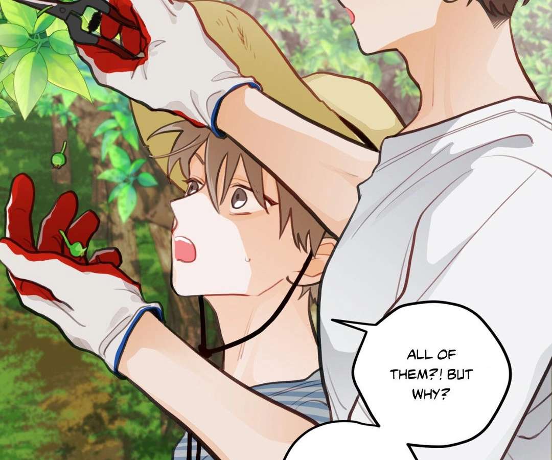 When Pear Blossoms Bloom Chapter 16 page 53 - 