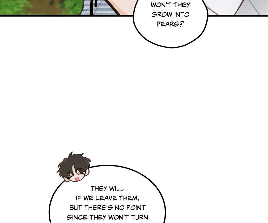 When Pear Blossoms Bloom Chapter 16 page 54 - 