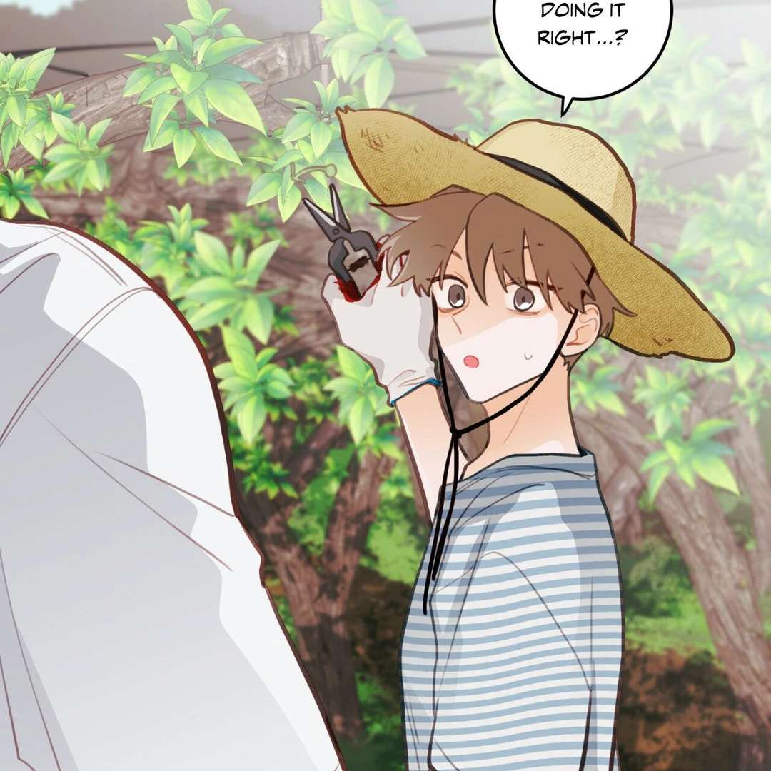 When Pear Blossoms Bloom Chapter 16 page 59 - 