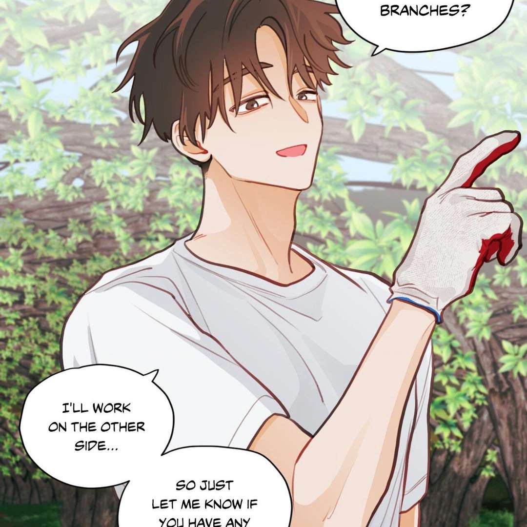 When Pear Blossoms Bloom Chapter 16 page 67 - 