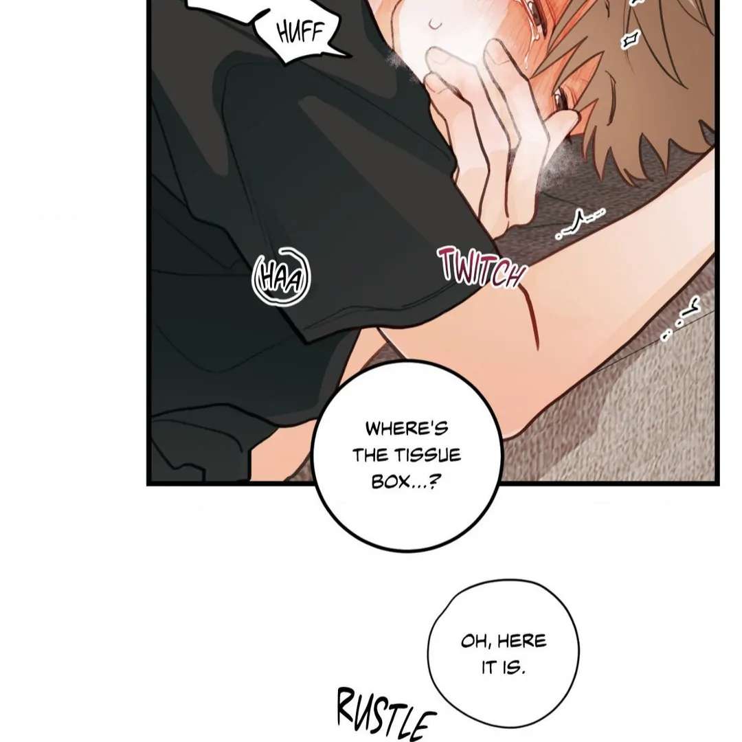 When Pear Blossoms Bloom Chapter 19 page 37 - 