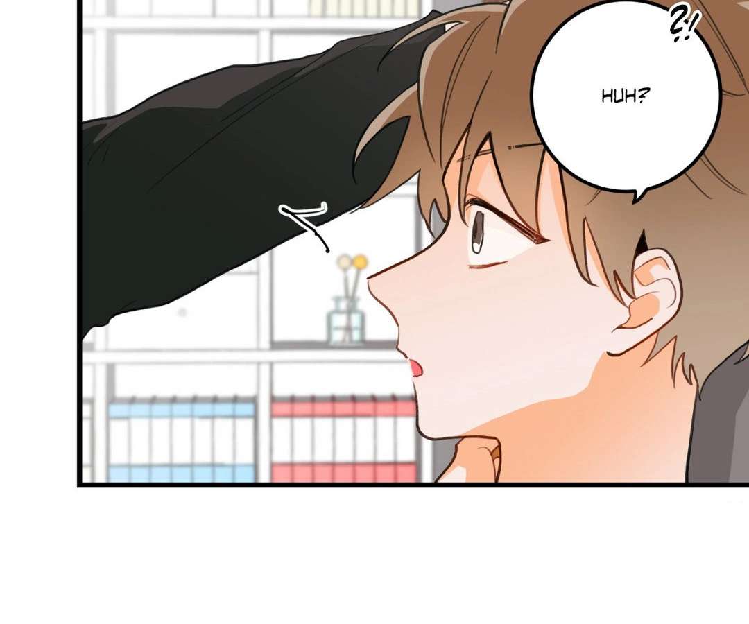 When Pear Blossoms Bloom Chapter 2 page 53 - 
