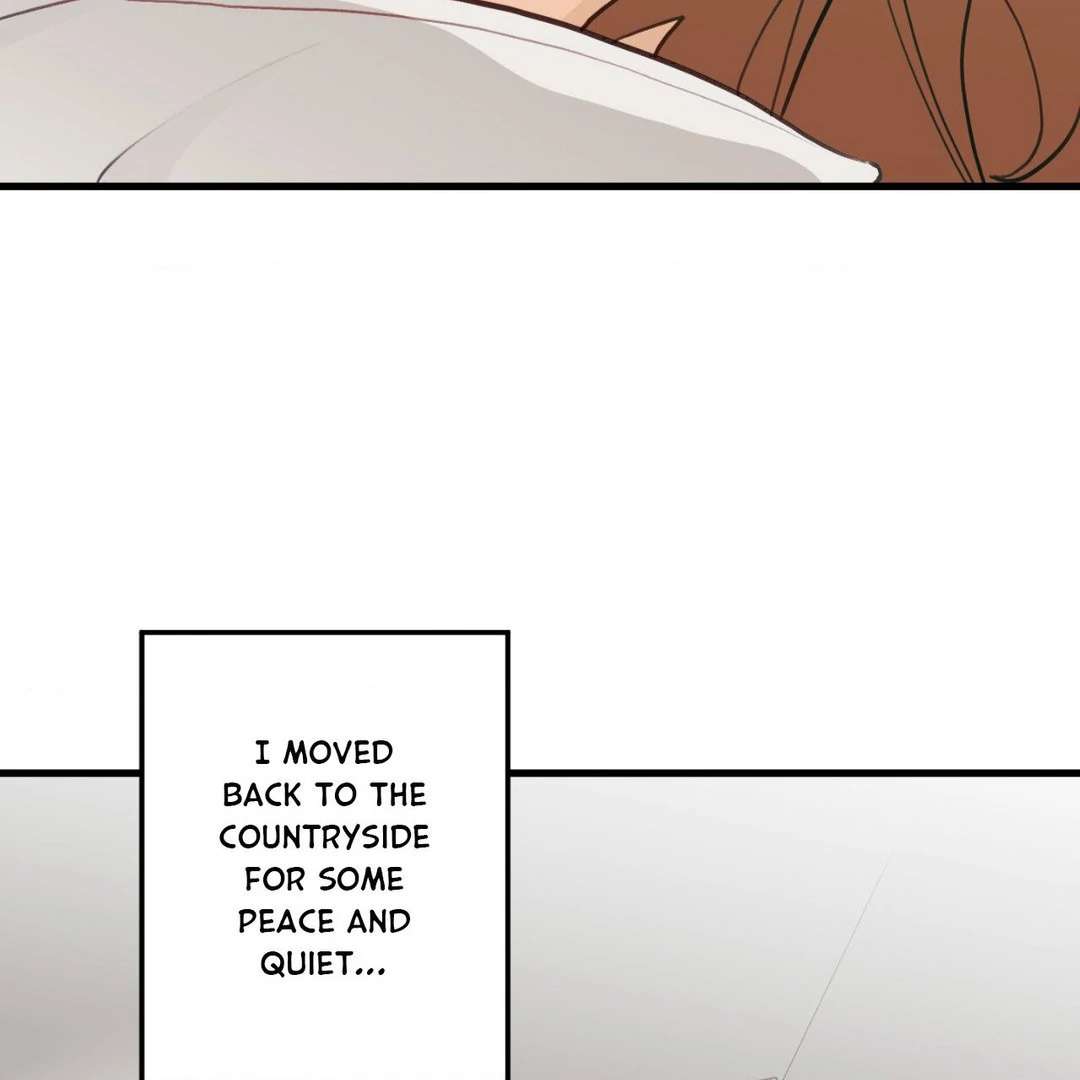 When Pear Blossoms Bloom Chapter 21 page 62 - 