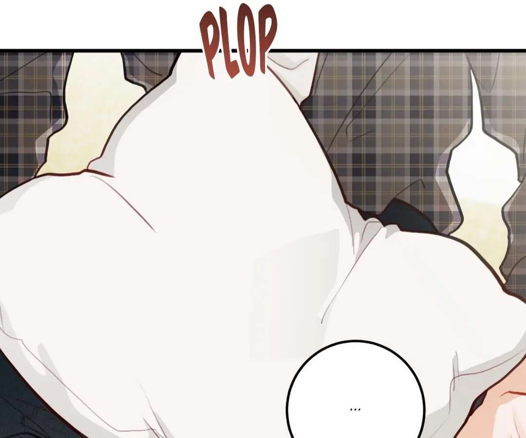 When Pear Blossoms Bloom Chapter 21 page 81 - 