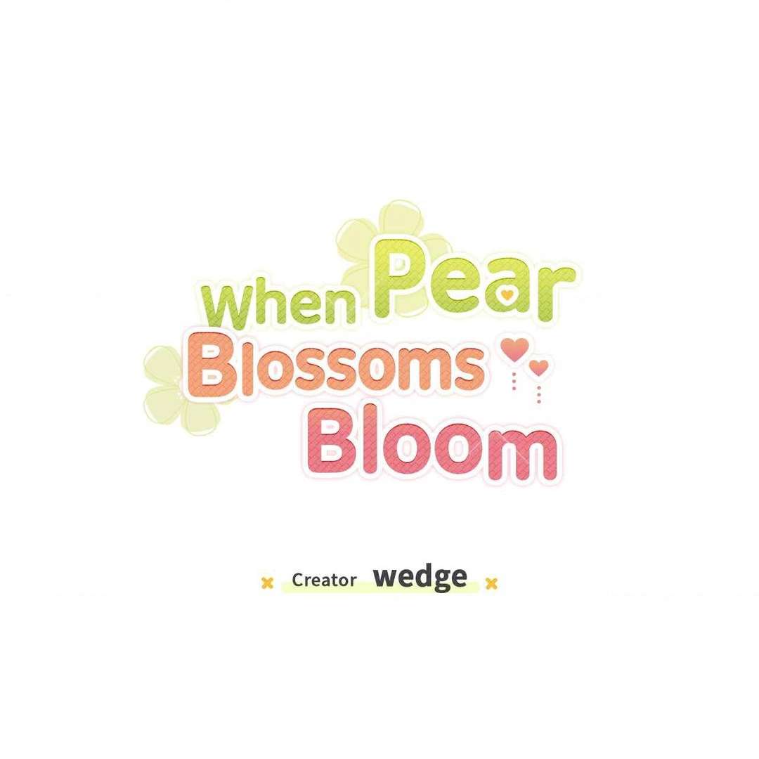 When Pear Blossoms Bloom Chapter 3 page 1 - 