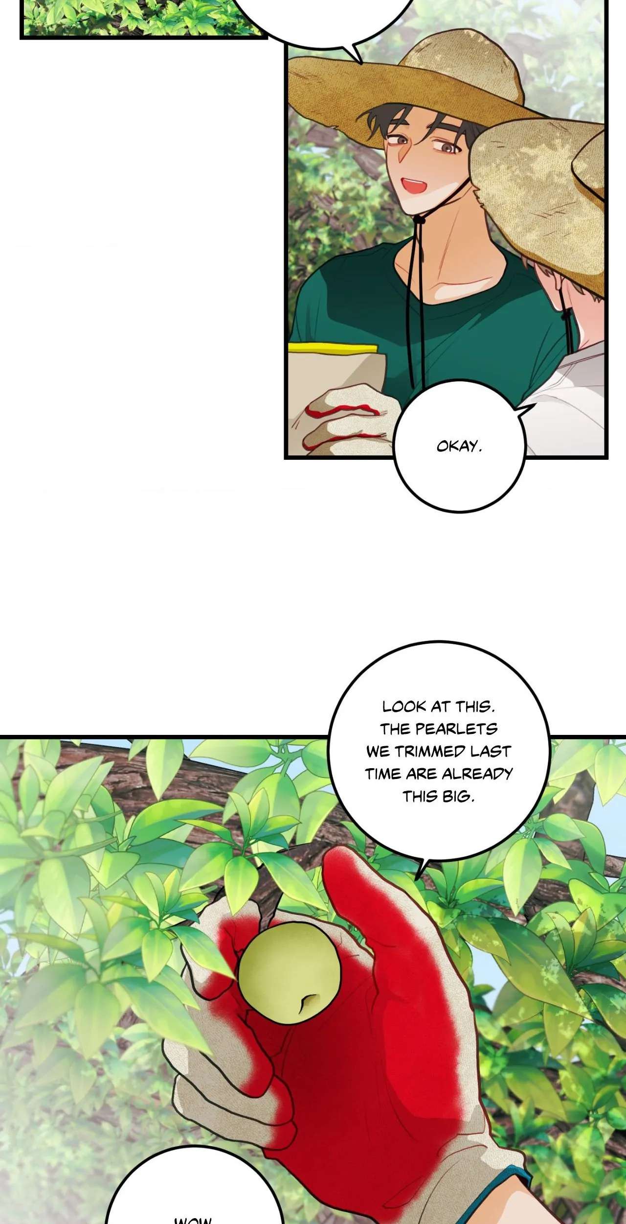 When Pear Blossoms Bloom Chapter 35 page 2 - 
