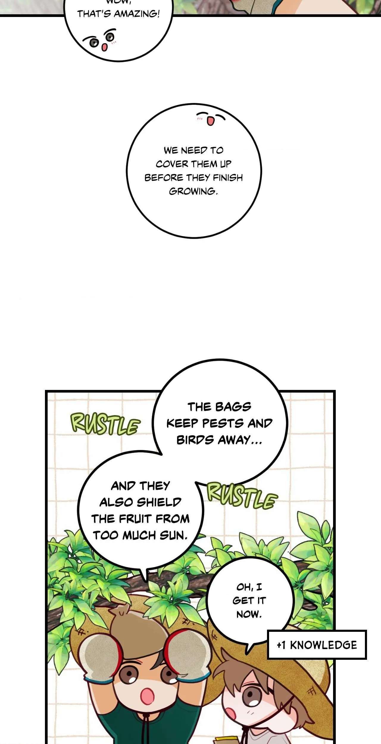 When Pear Blossoms Bloom Chapter 35 page 3 - 