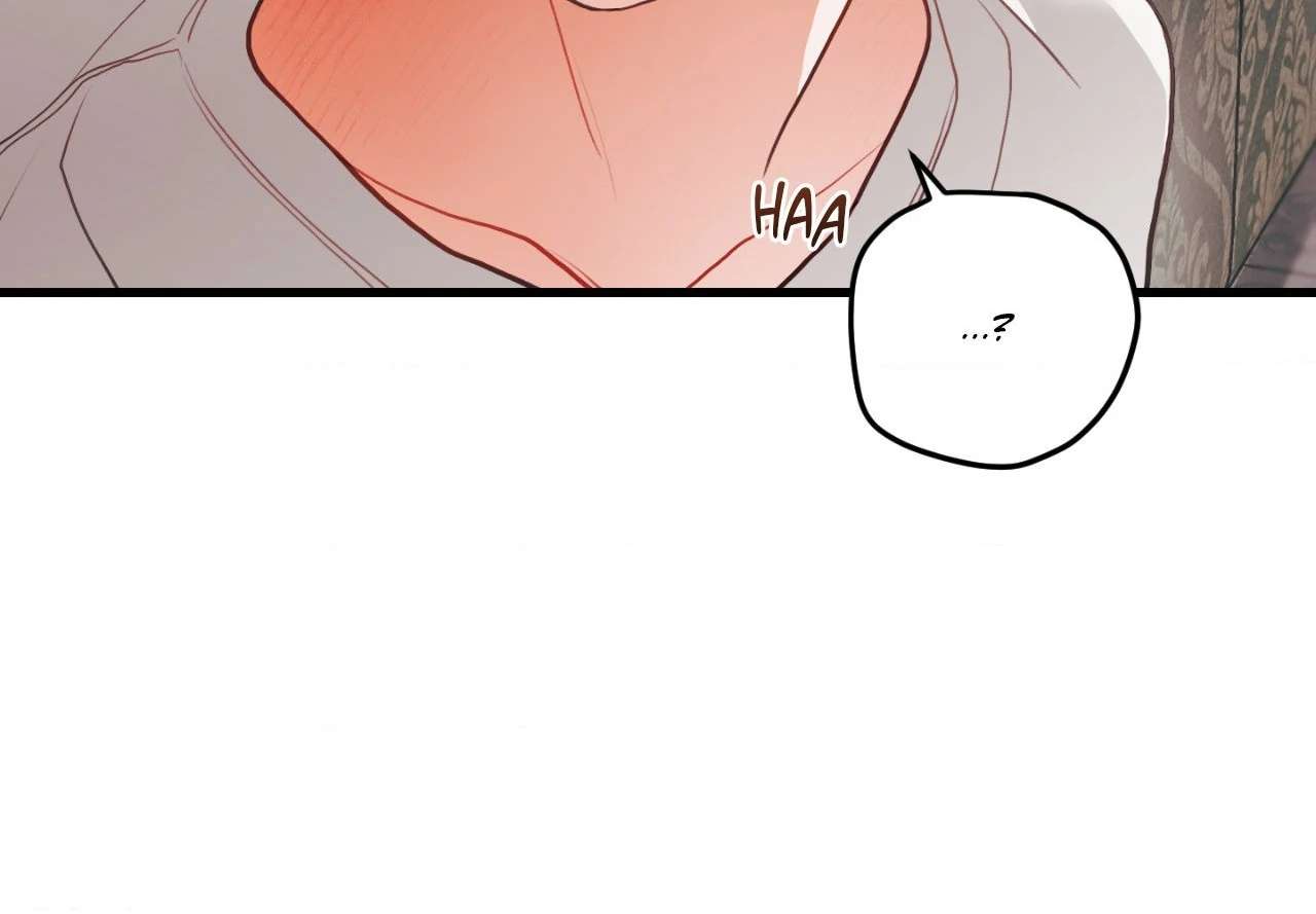 When Pear Blossoms Bloom Chapter 36 page 76 - 