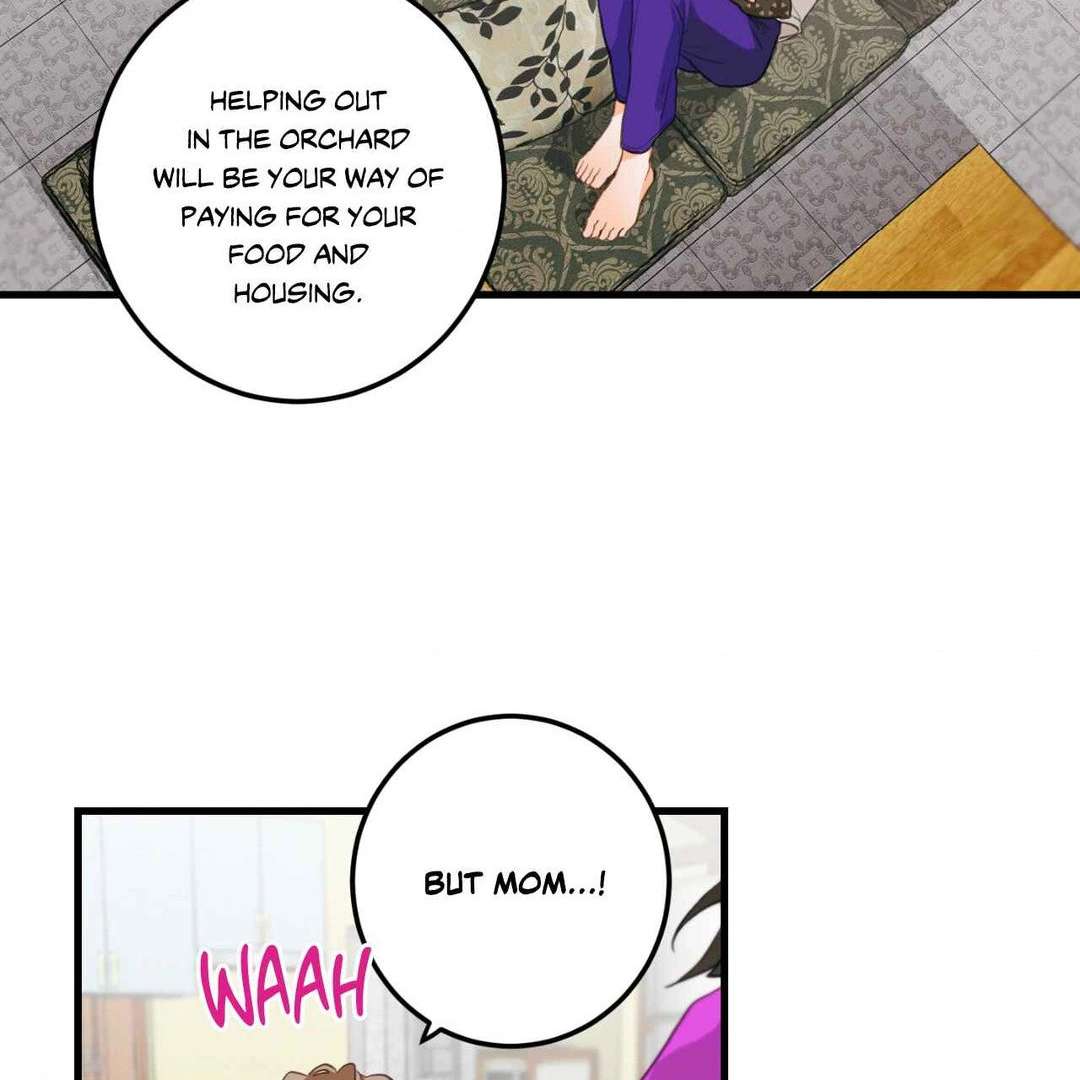 When Pear Blossoms Bloom Chapter 4 page 62 - 
