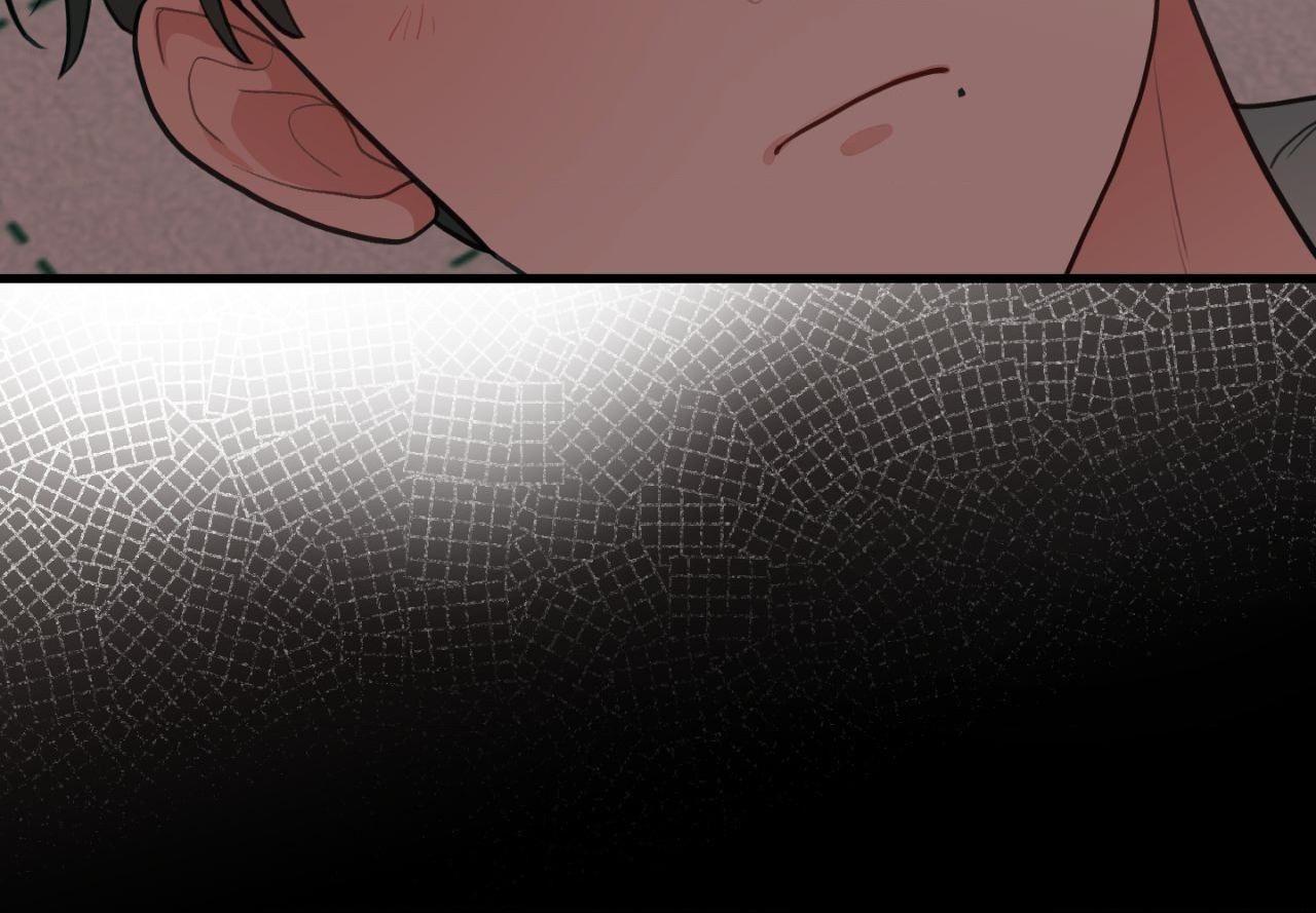 When Pear Blossoms Bloom Chapter 62 page 19 - 