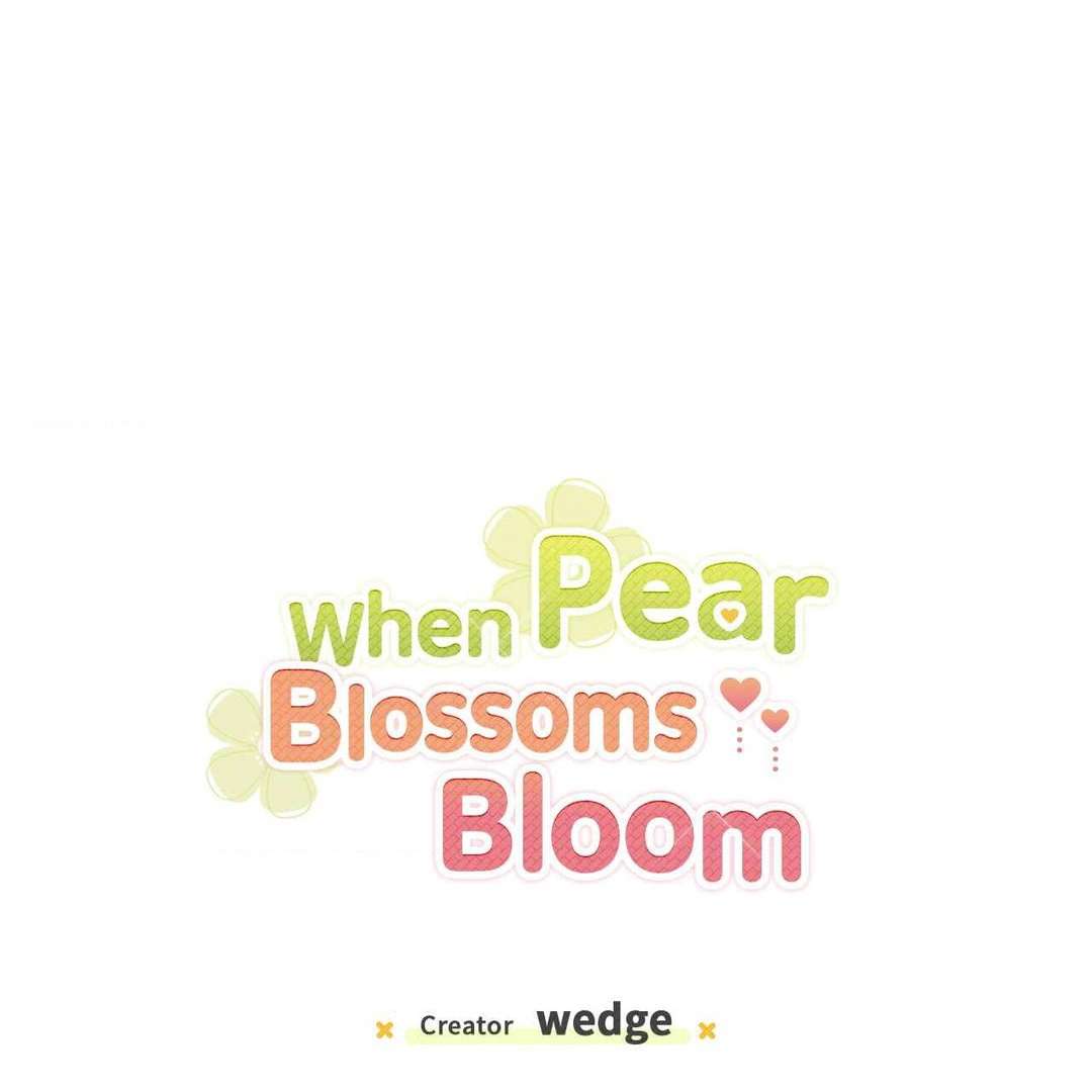 When Pear Blossoms Bloom Chapter 7 page 1 - 