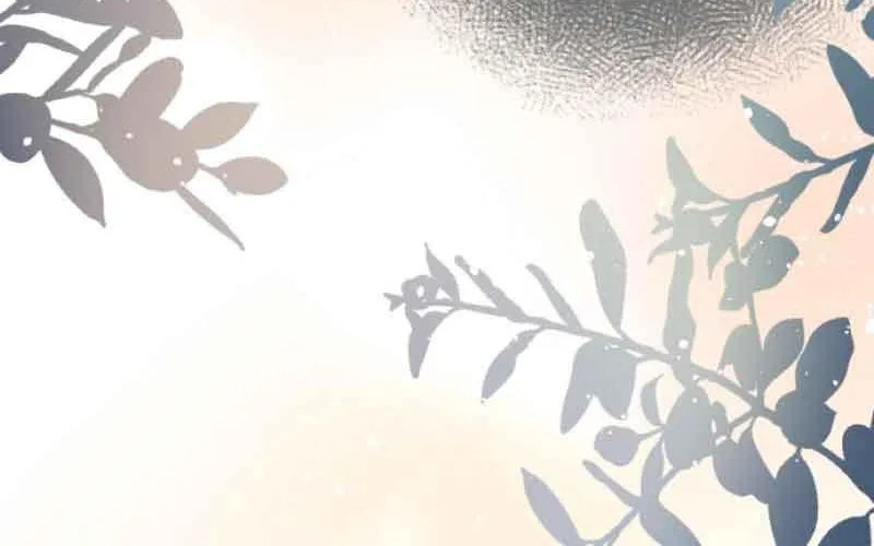 When the Broken Saintess Touches Love Chapter 25 page 43 - 