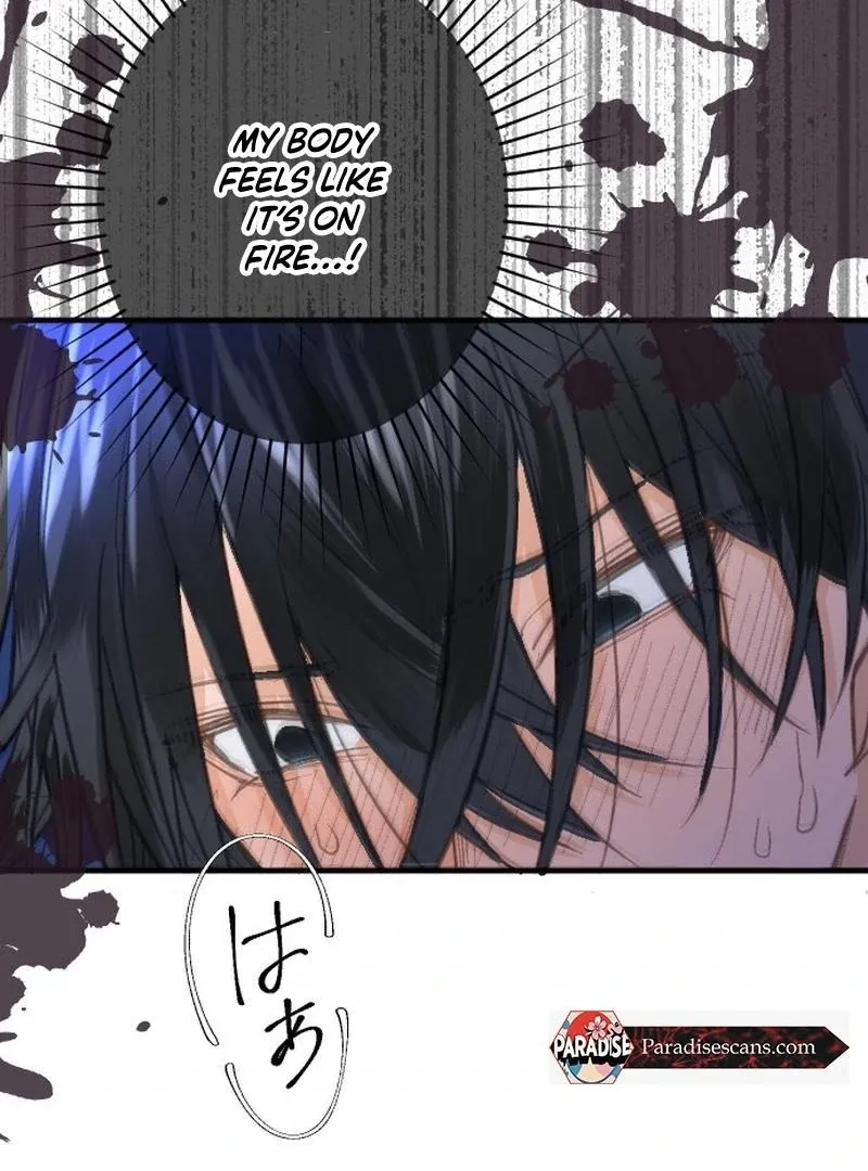 When the Broken Saintess Touches Love Chapter 33 page 68 - 