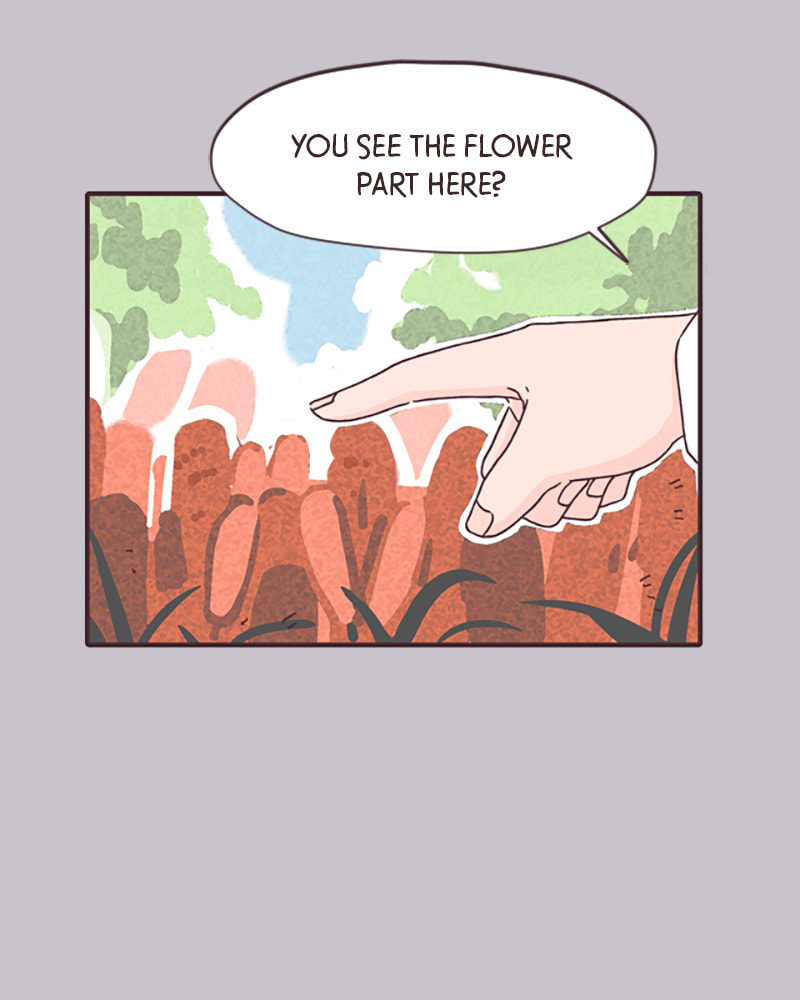 When the Day Comes Chapter 14 page 32 - 