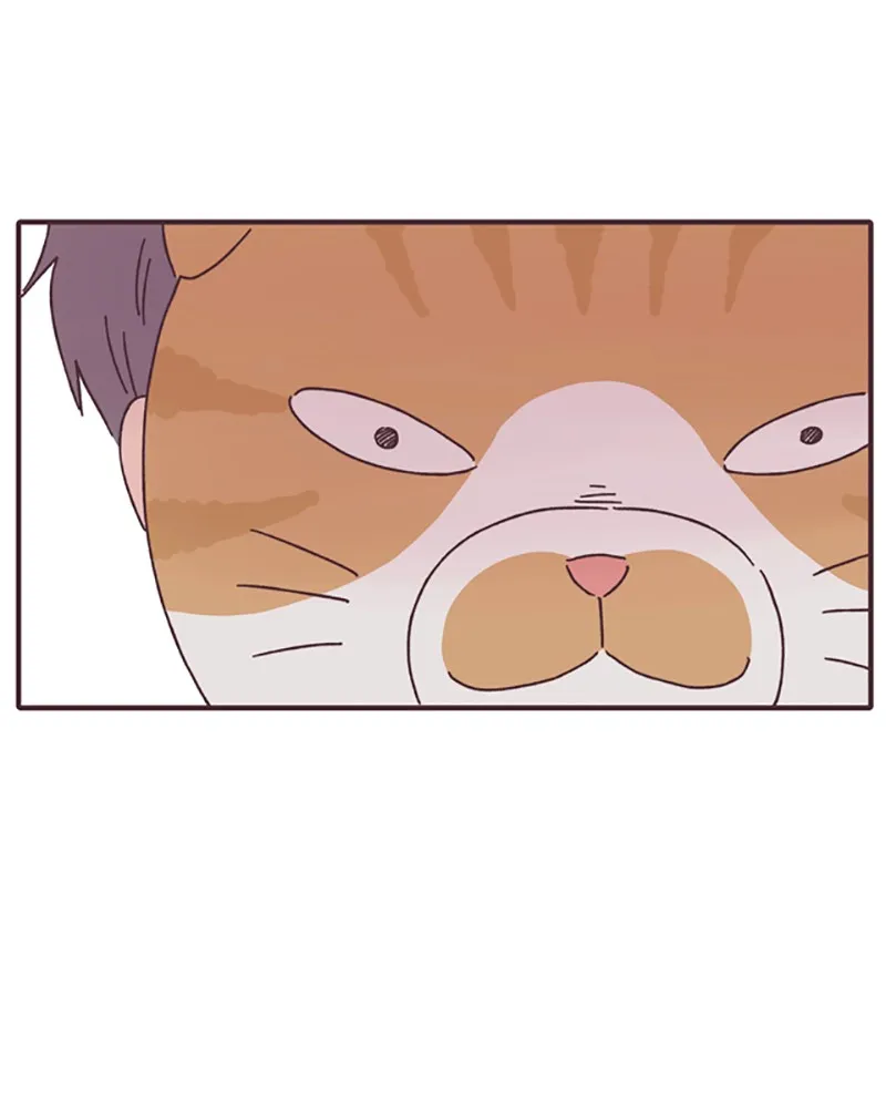When the Day Comes Chapter 7 page 78 - 