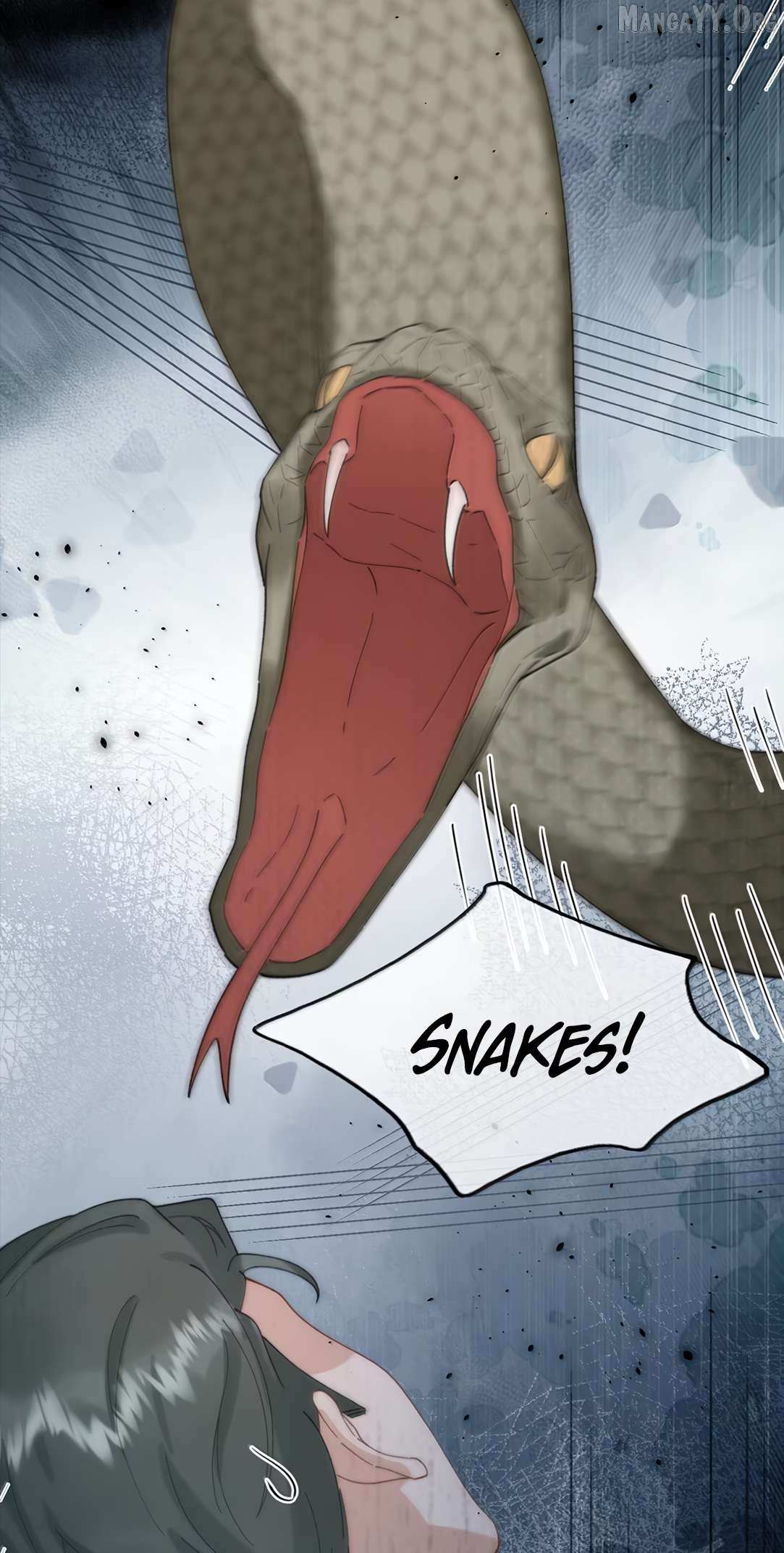 When the Villainess meets the Crazy Heroine Chapter 73 page 5 - 