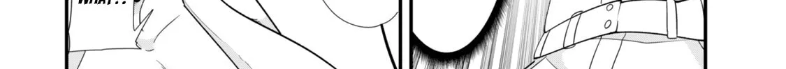 When Trying to Get Back at the Hometown Bullies, Another Battle Began Chapter 44.2 page 16 - 