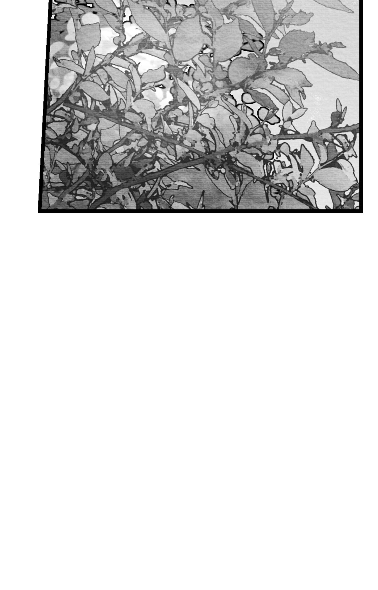 When We Acquainted Chapter 148 page 104 - 