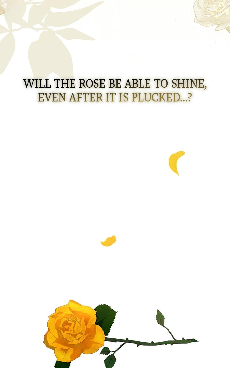 Where the Golden Rose was Plucked Chapter 0 page 54 - 