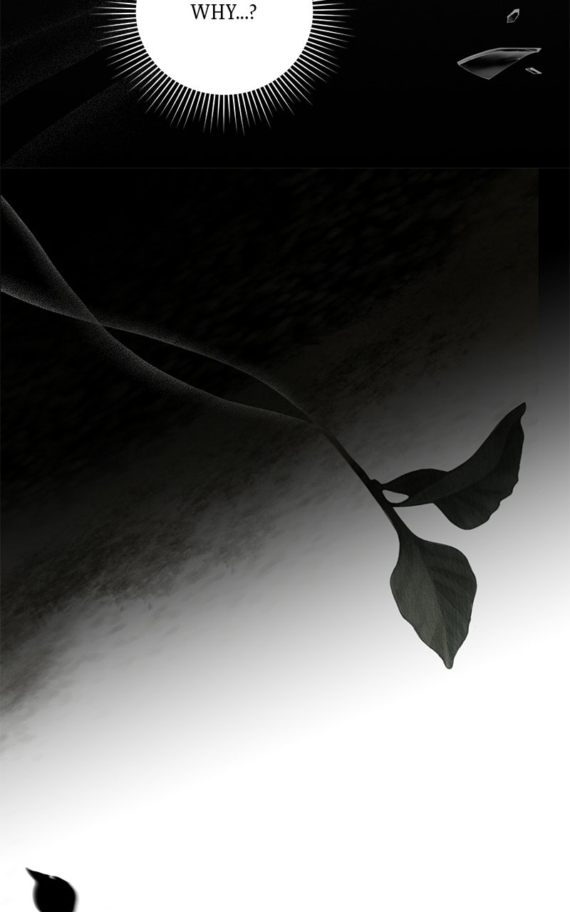Where the Golden Rose was Plucked Episode 14 page 93 - 