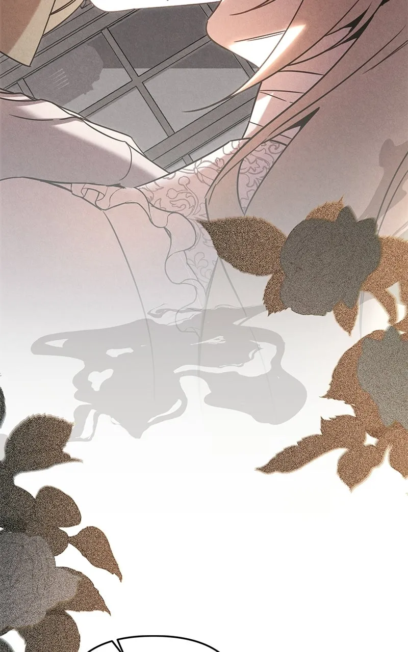 Where the Golden Rose was Plucked Chapter 24 page 39 - 