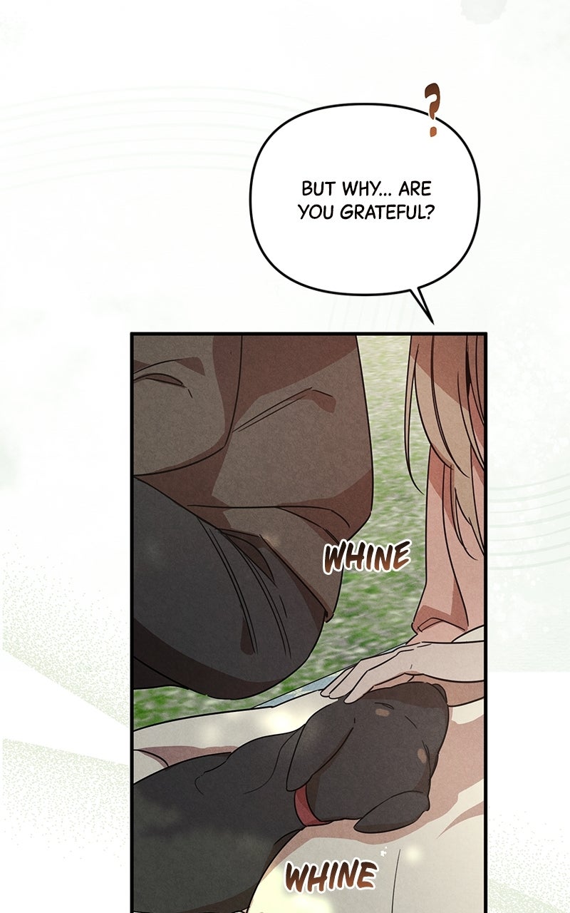 Where the Golden Rose was Plucked Episode 25 page 41 - 