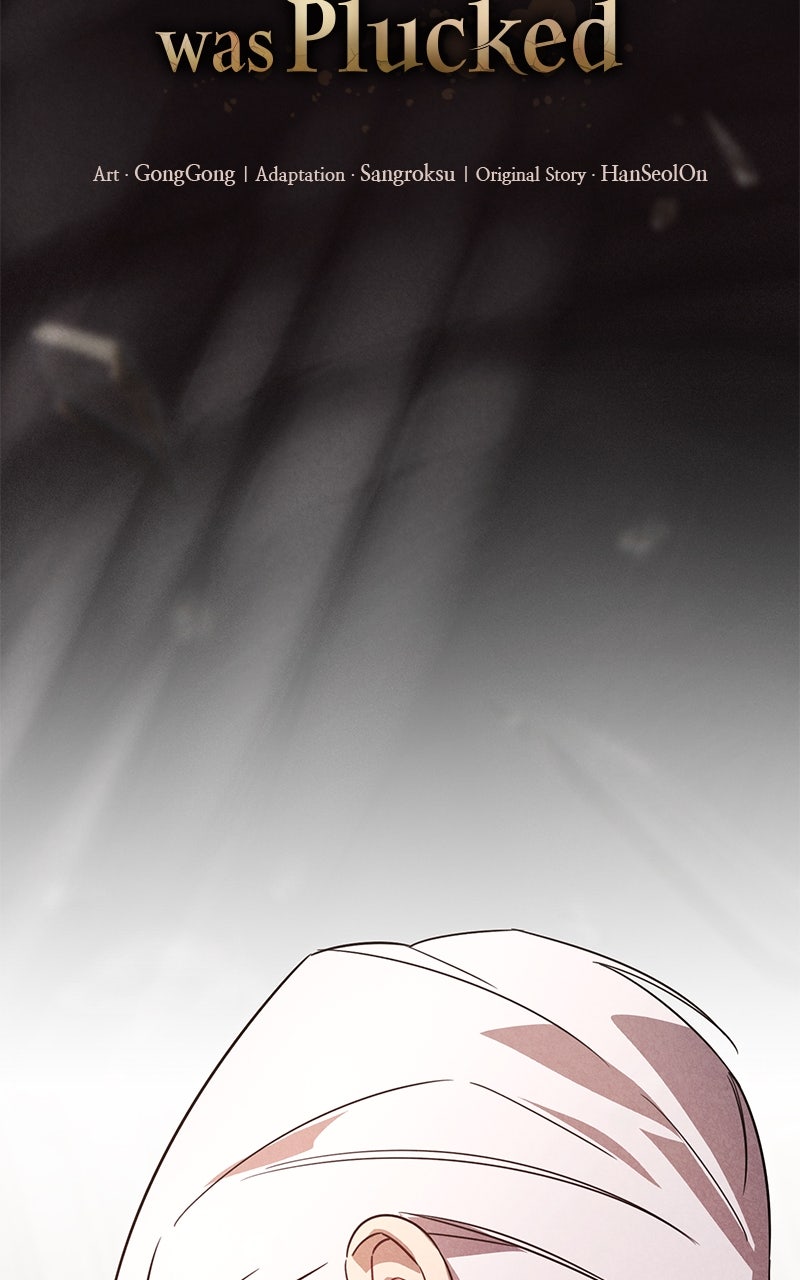 Where the Golden Rose was Plucked Episode 30 page 53 - 