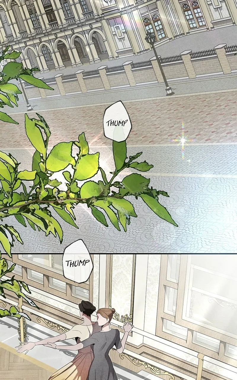 Where the Golden Rose was Plucked Chapter 5 page 21 - 