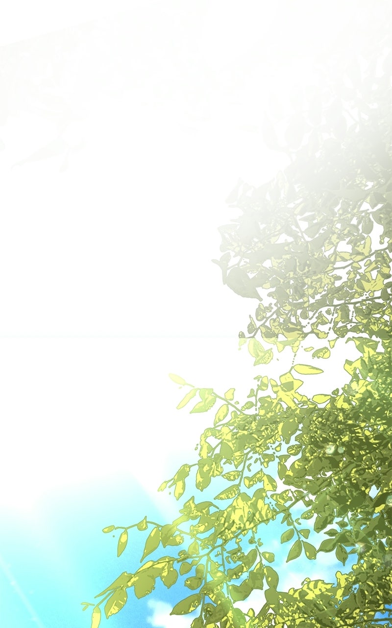 Where the Golden Rose was Plucked Episode 8 page 3 - 