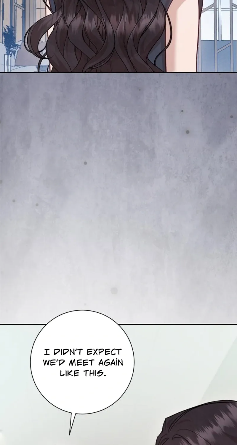Whisper of the Night Chapter 22 page 47 - 
