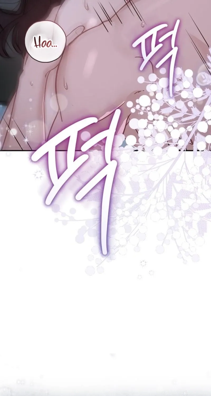 Whisper of the Night Chapter 36 page 70 - 