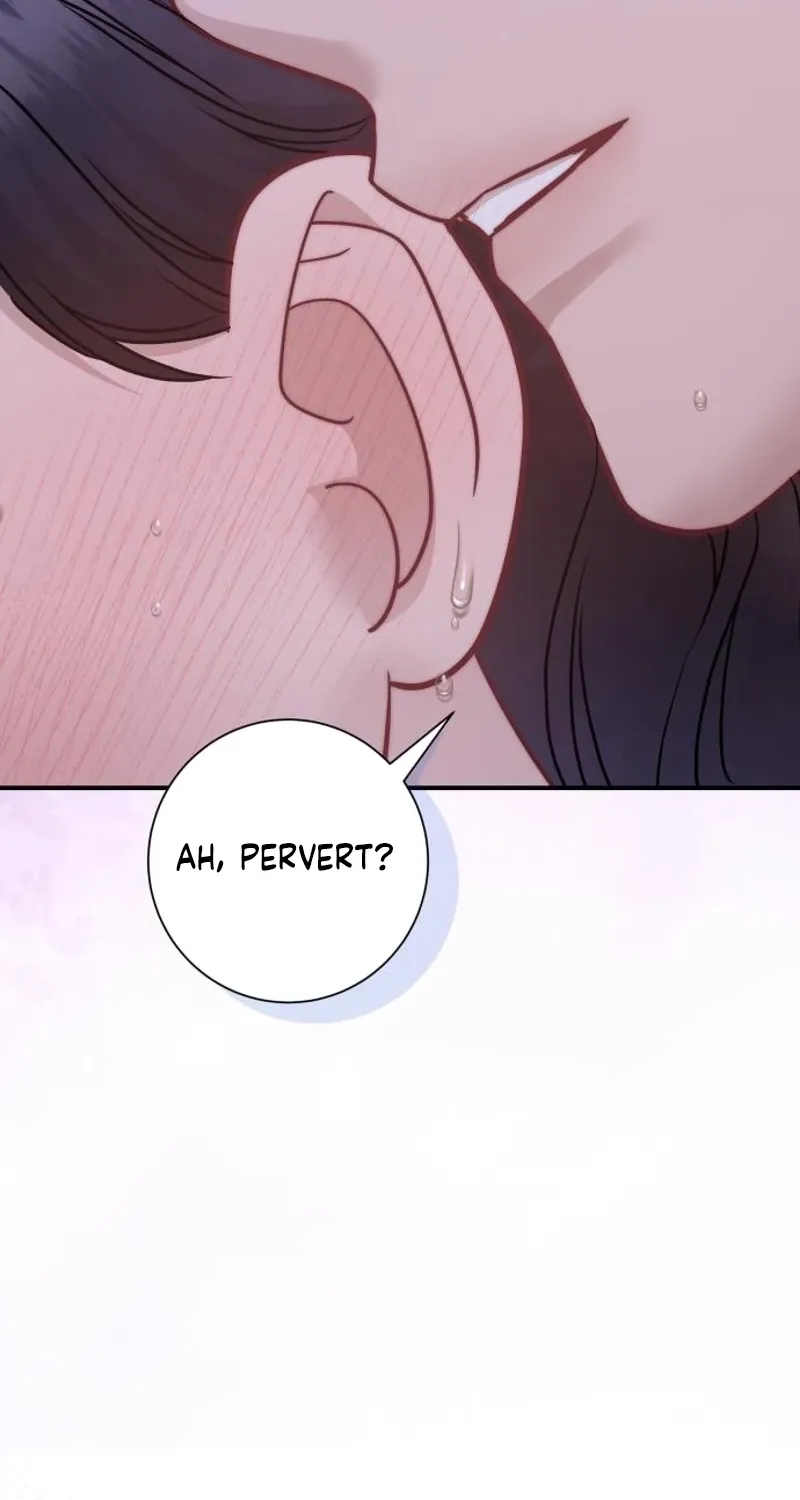 Whisper of the Night Chapter 42 page 29 - 