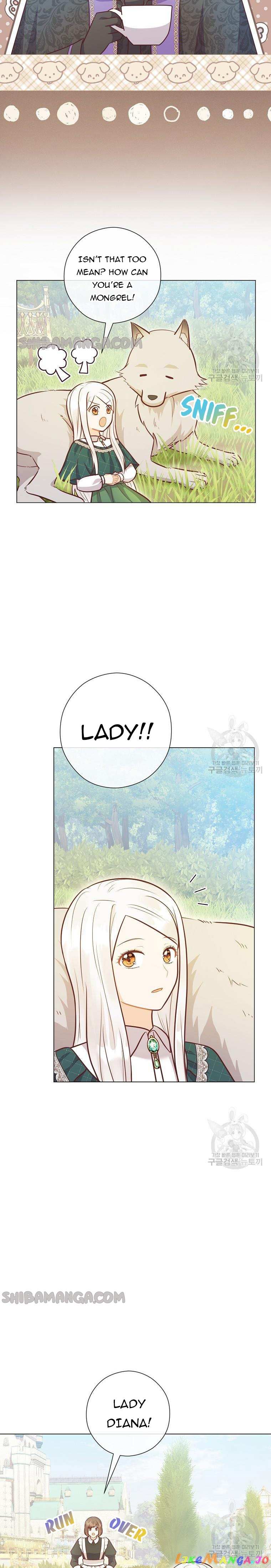Who Do You Like More, Mommy or Daddy? Chapter 41 page 4 - 
