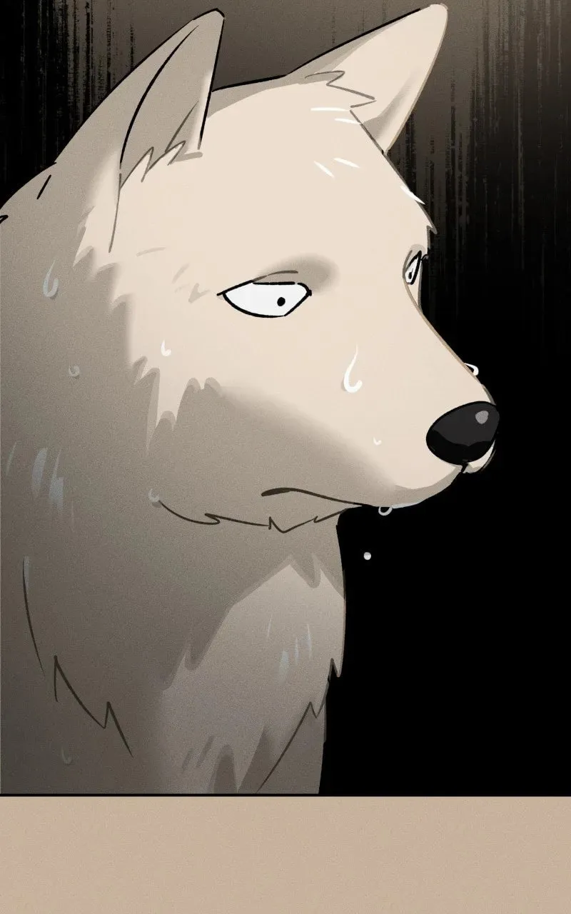 Who