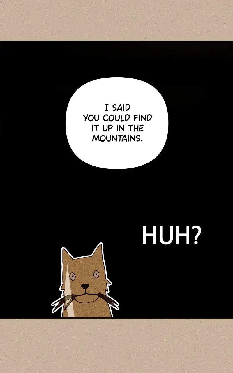 Who