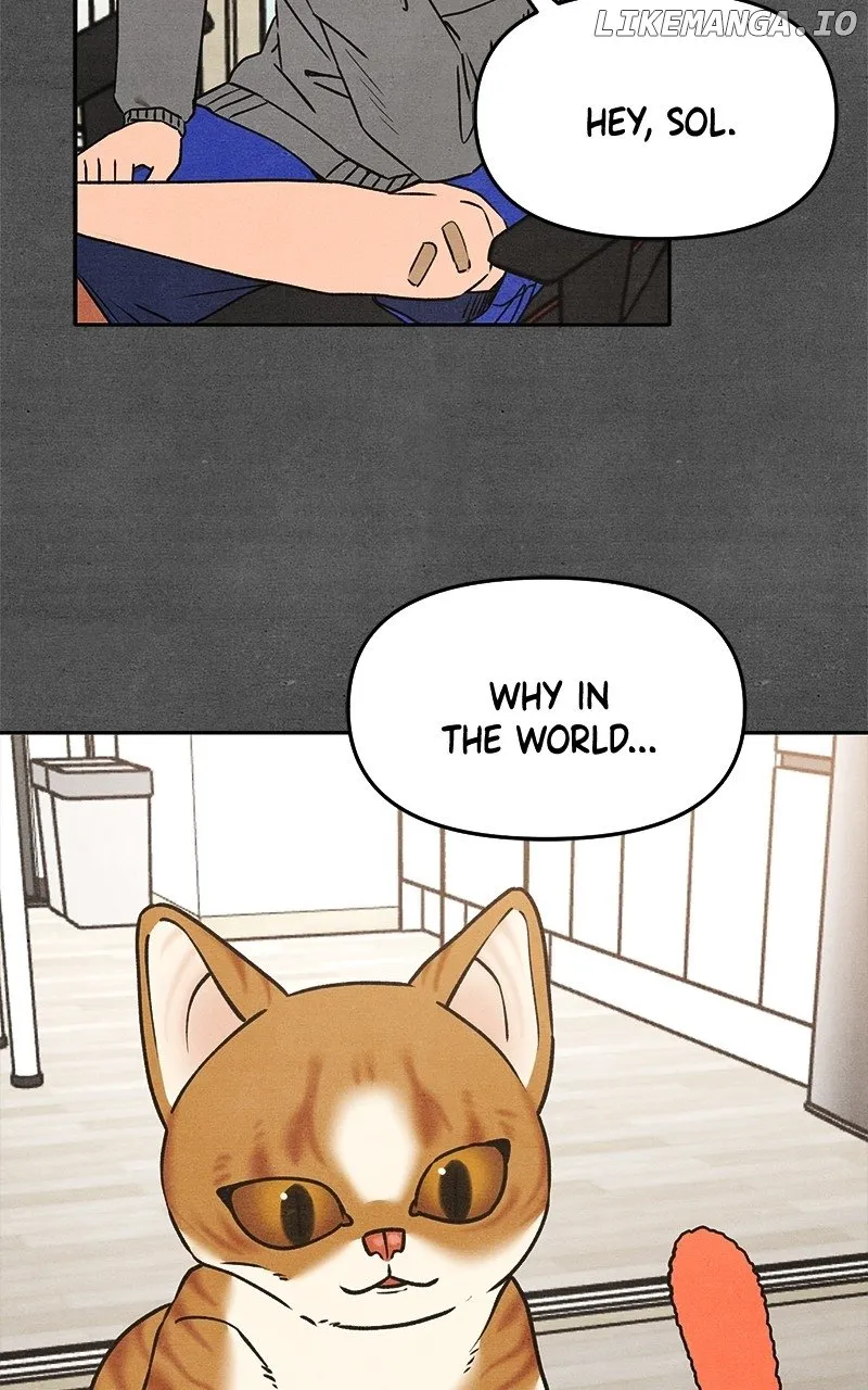 Who