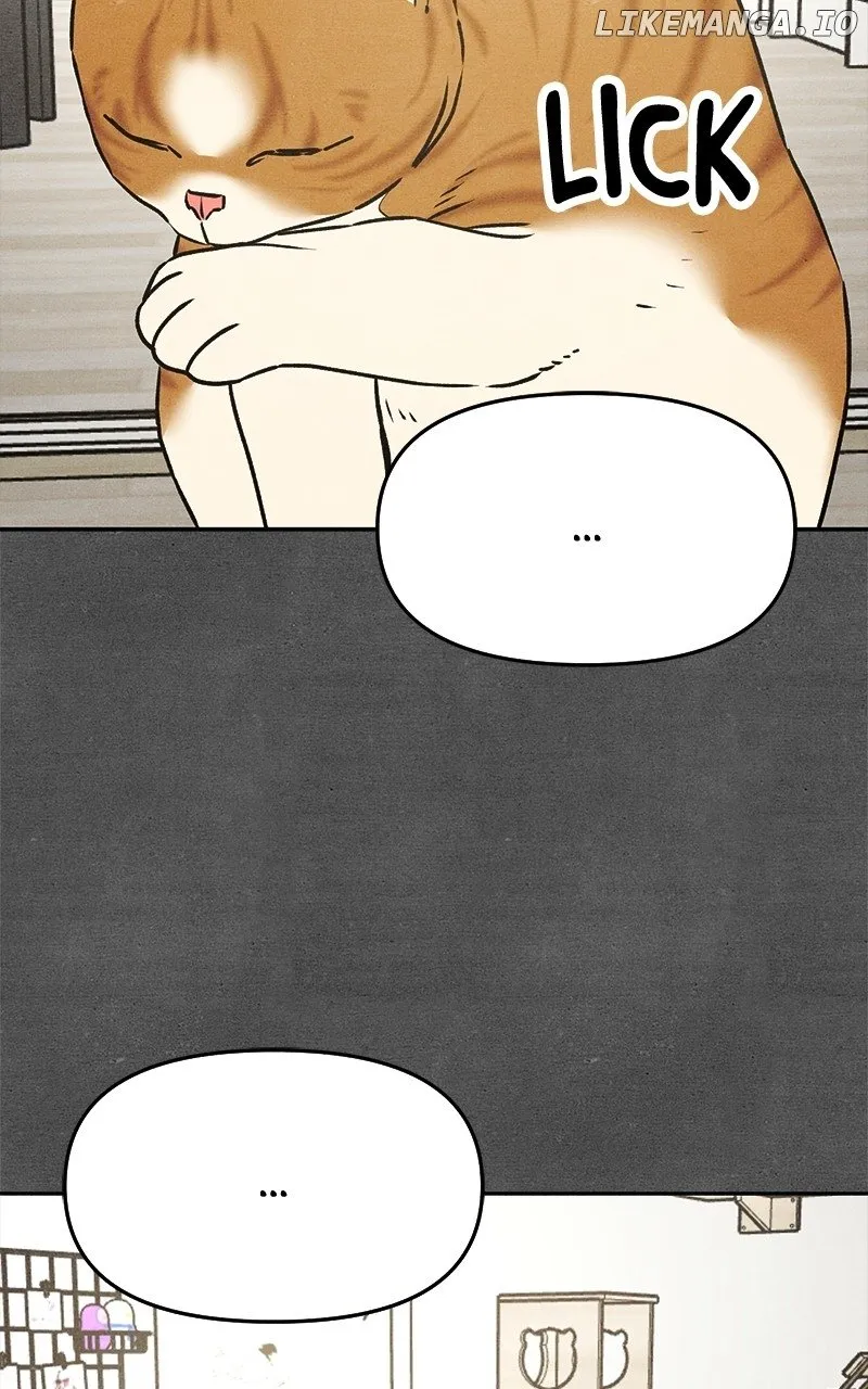 Who