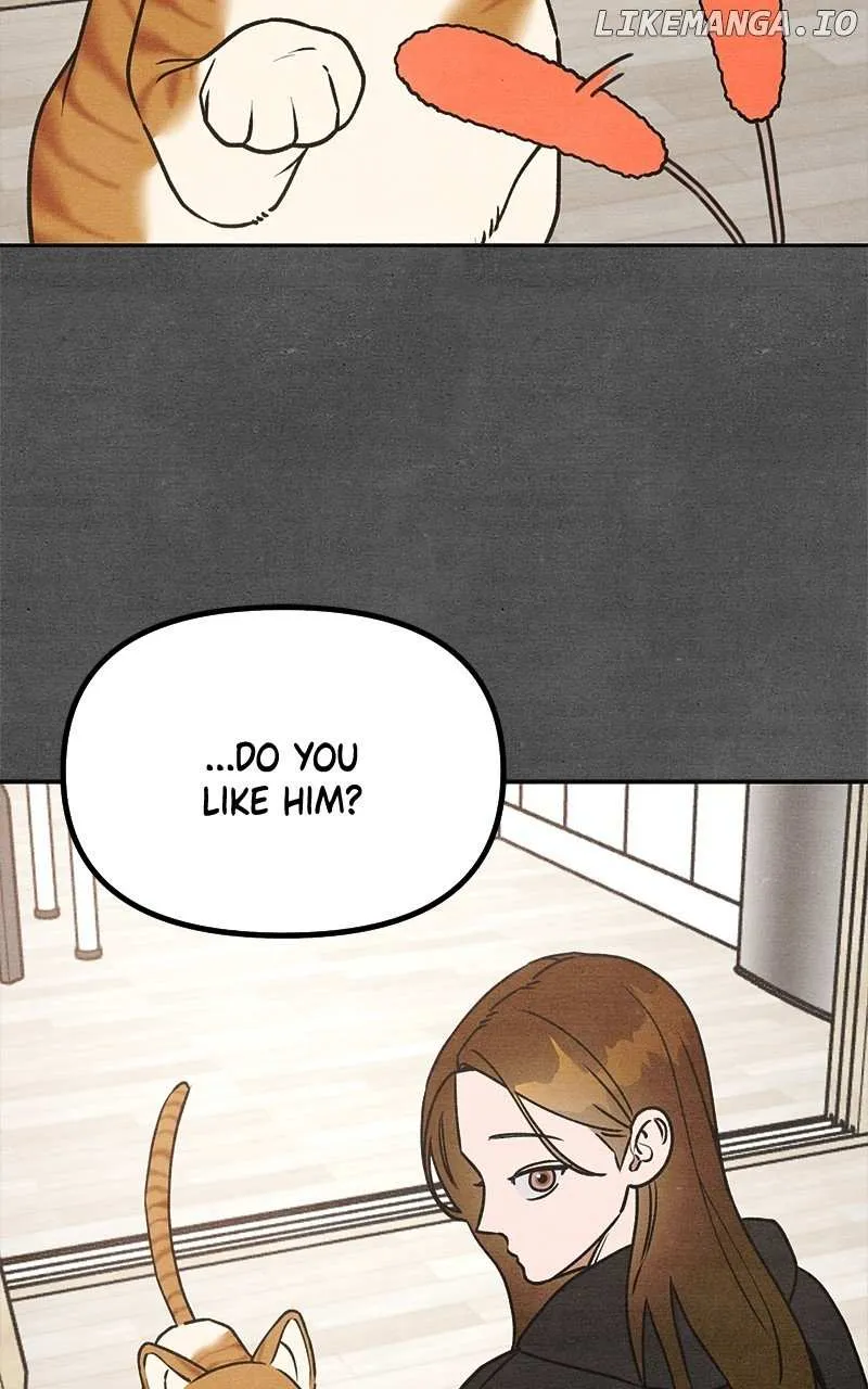 Who