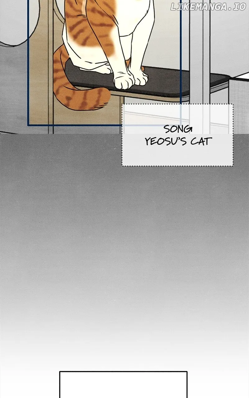Who