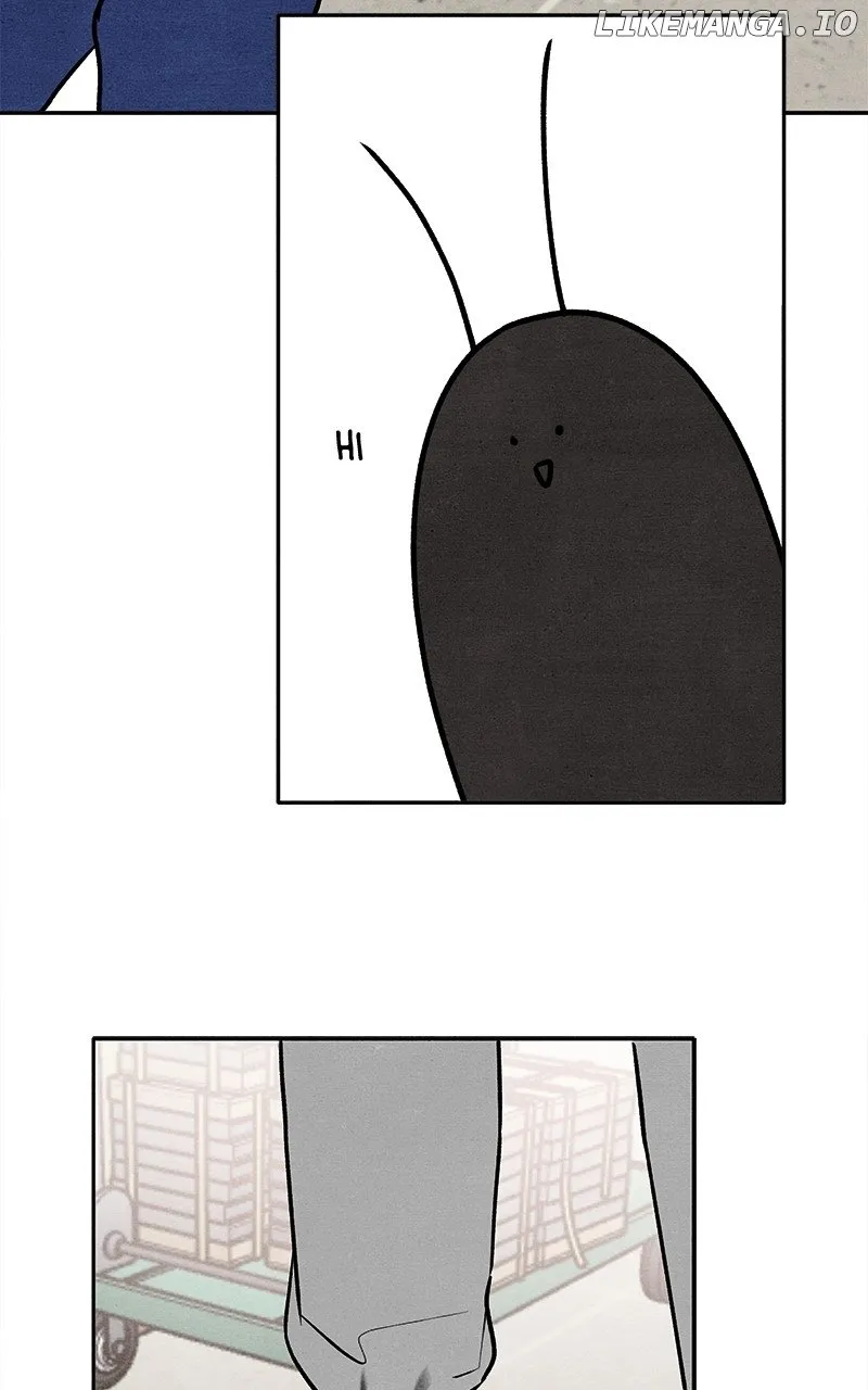 Who