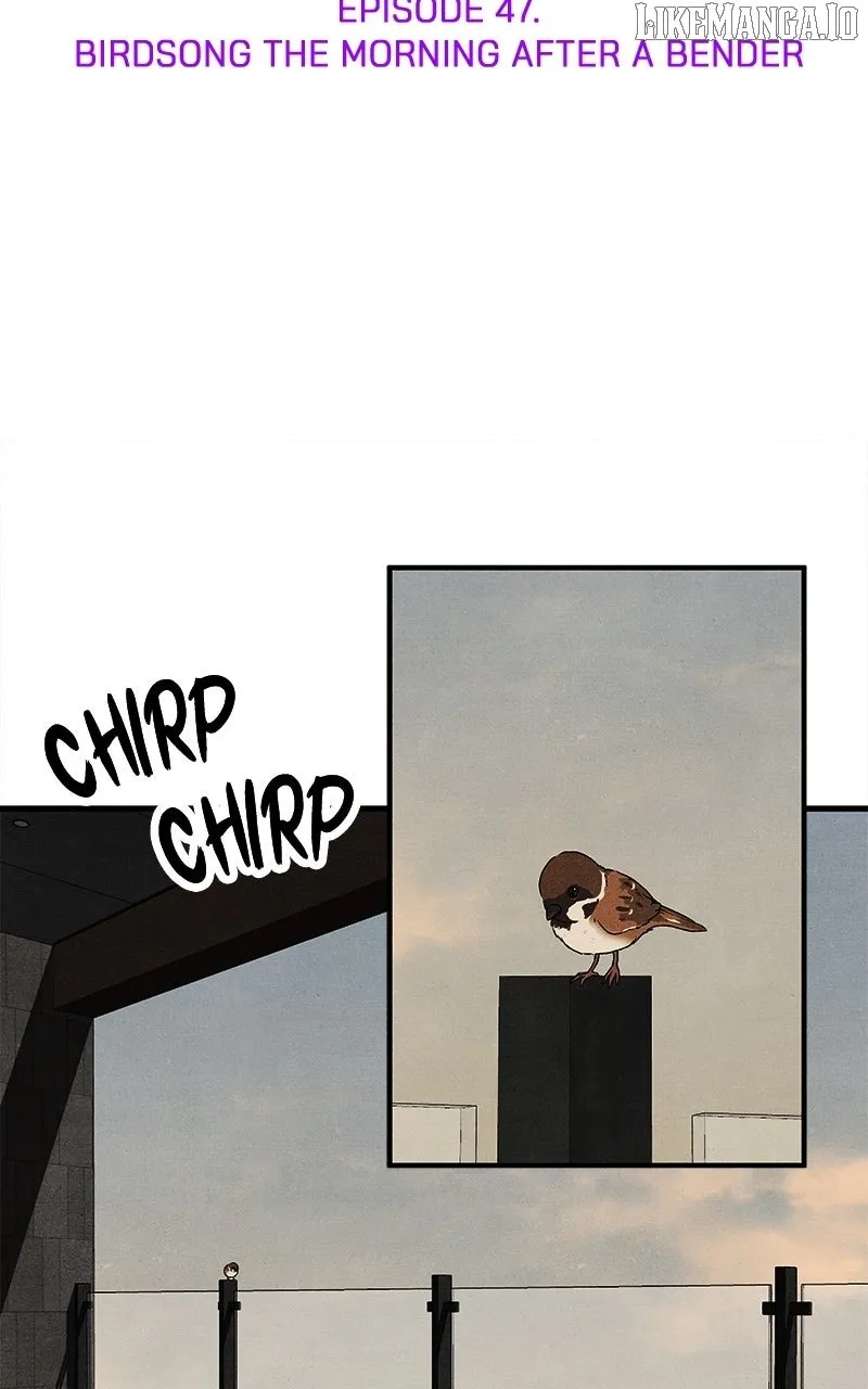 Who