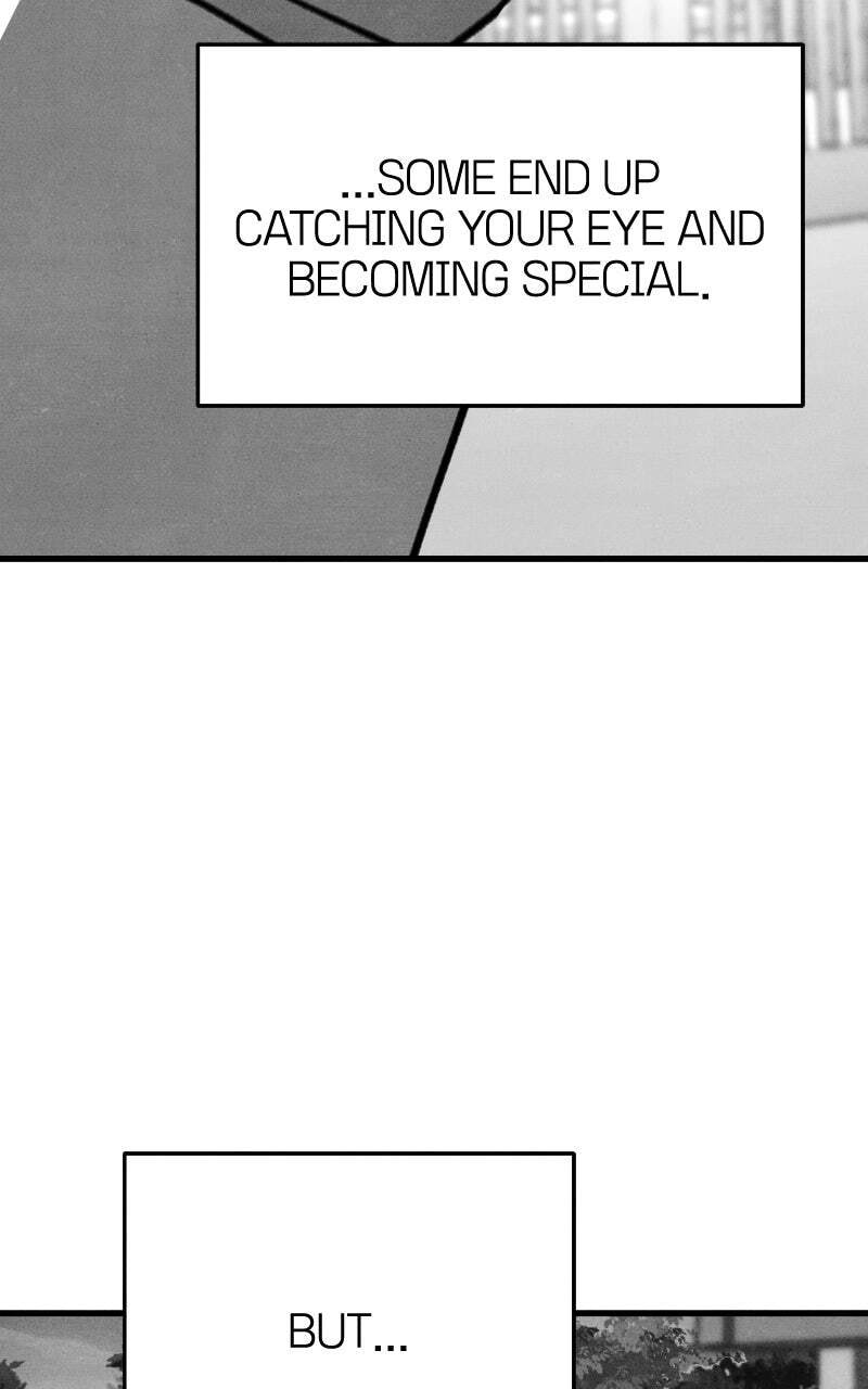 Who