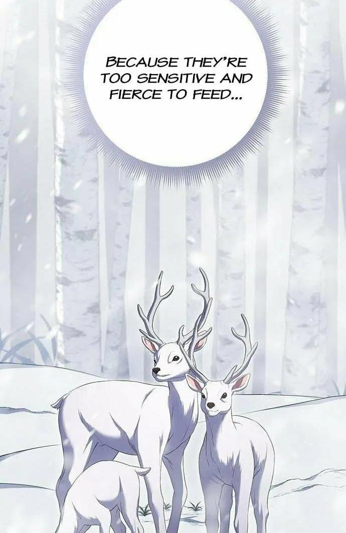 Who Stole the Empress? Chapter 15 page 76 - 