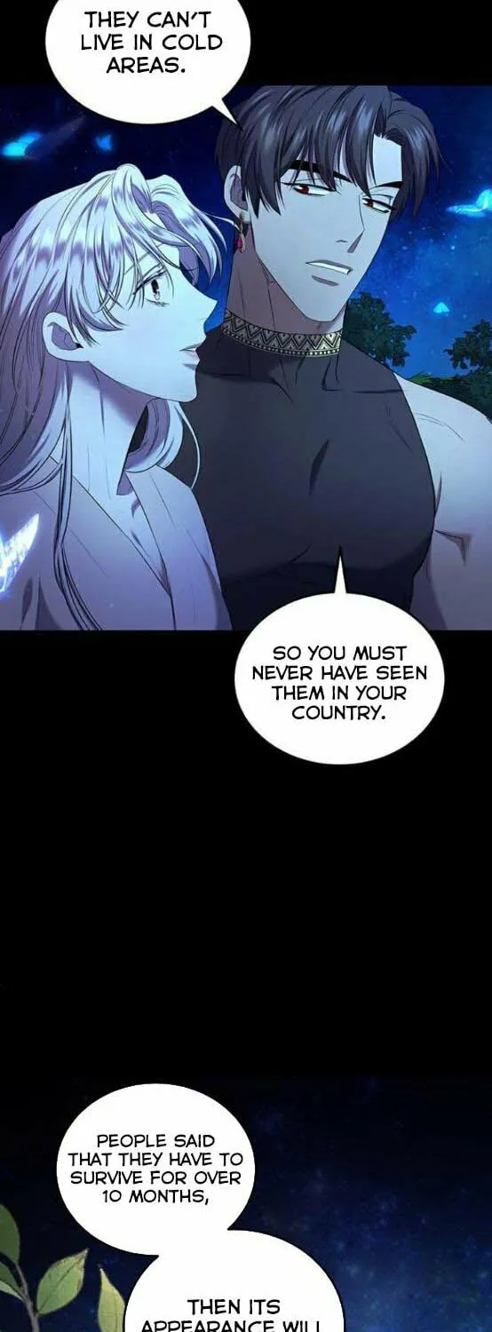 Who Stole the Empress? Chapter 9 page 8 - 