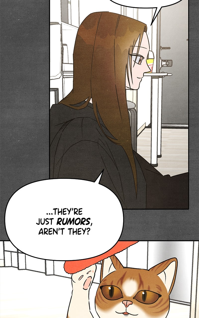 Who’s ThatLong-Haired Senior? Ep. 21 - Romance or Suffering? Part 4 page 12 - 