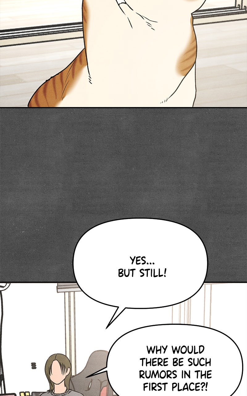 Who’s ThatLong-Haired Senior? Ep. 21 - Romance or Suffering? Part 4 page 13 - 