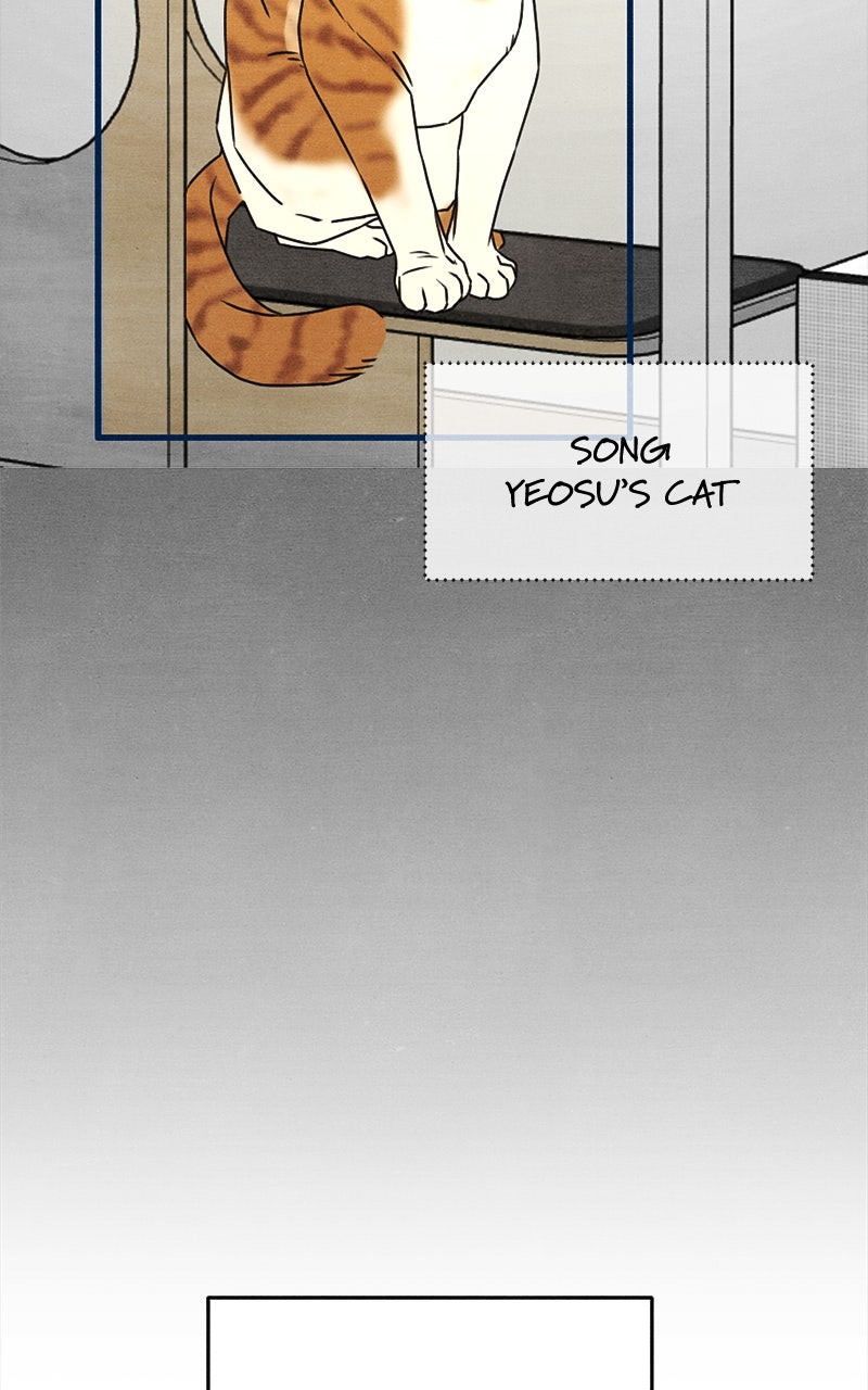 Who’s ThatLong-Haired Senior? Ep. 21 - Romance or Suffering? Part 4 page 29 - 