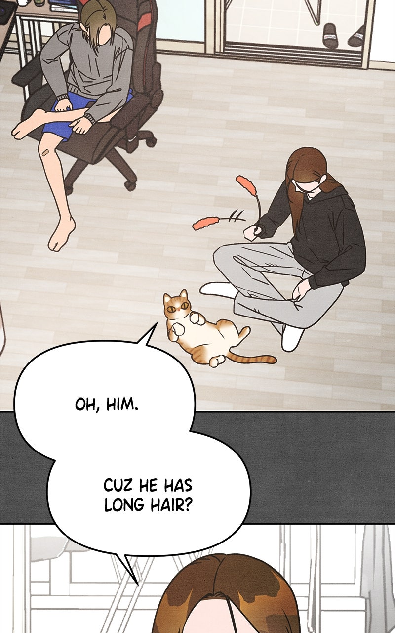 Who’s ThatLong-Haired Senior? Ep. 21 - Romance or Suffering? Part 4 page 5 - 