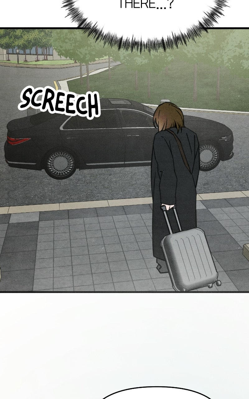 Who’s ThatLong-Haired Senior? (S2) Ep. 83 - Metamorphic Rock (1) page 87 - 